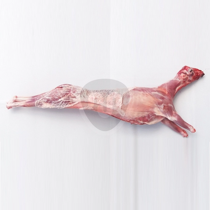 Milk fed goat carcass