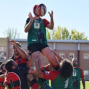 Moralejo Selección, patrocinador del Zamora Rugby Club.