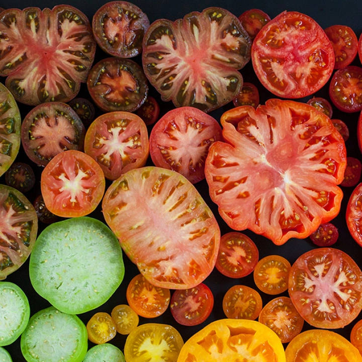 Costillas de cordero y tomates confitados